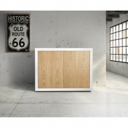 Credenza due ante